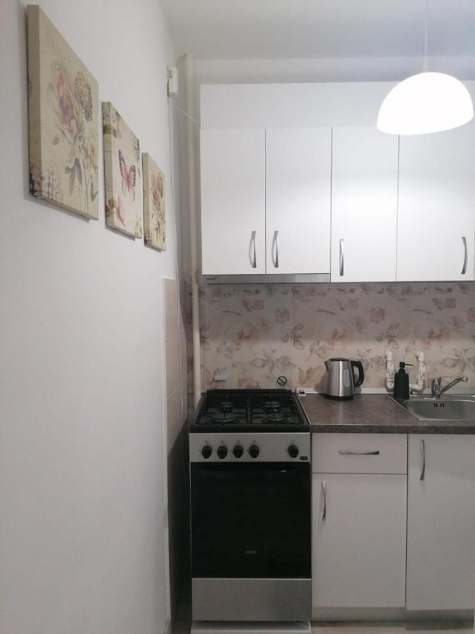 Laroka House Cosy And Modern Apartment Universitate-City Centre Bucureşti Ngoại thất bức ảnh